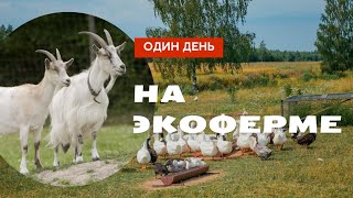 Один день на экоферме. #PROАстрахань