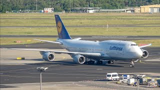 4K Evening Action Plane Spotting Frankfurt Airport