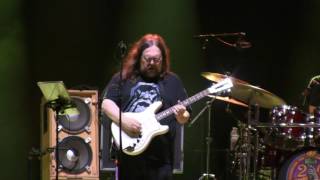 Dark Star Orchestra  -   Brown Eyed Women (Wanee 2017)