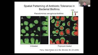 David Tirrell: Selective Proteomic Analysis of Cellular Subpopulations in Complex Biological Systems