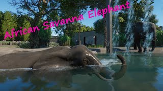 African Savanna Elephant - Backyard Zoo - Planet Zoo