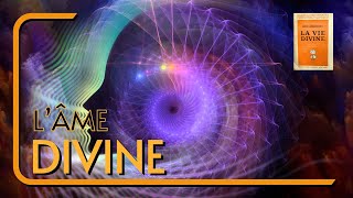 L'ÂME DIVINE | LIVRE AUDIO LA VIE DIVINE | Shri Aurobindo (CH. 17/28)