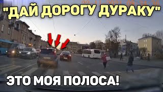 Автоподборка "Дай Дорогу Дураку"🚨Кто Прав!?#314