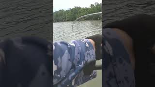 Mancing Trolling Di Muara #shorts #mancing_kakap