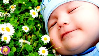 Smell The Funny Flowers! - 😂  Best Reactions Ever - Crazy Videos