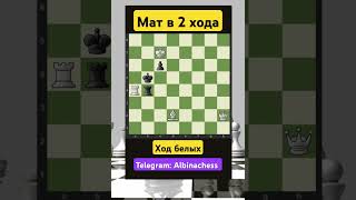 Telegram: Albinachess #chess #chorts #шахматы