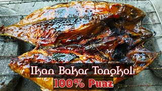 Resep Ikan Bakar Tongkol Bumbu Madu Dijamin Uenak