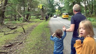 キャンピング後編。カフェで朝食。母の眠る森。野生の馬と牛の行列に遭遇。