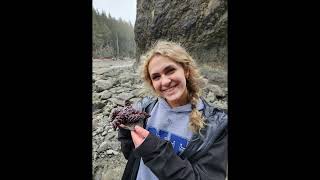 Rialto Beach Hike