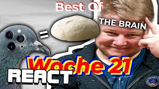 React: Best Of Woche 21 2024 🎮 Best Of PietSmiet