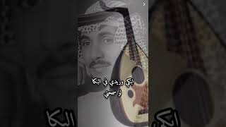 ابكي وزيدي _____حسين آلعلي