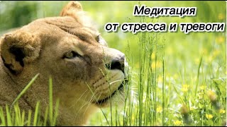 ~ Медитация от стресса и тревоги ~ 5 минут