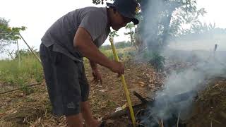 Membuat Api di Hutan