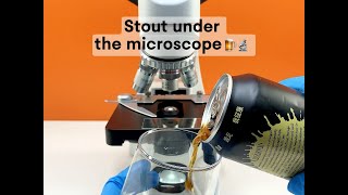 Would you still drink stout after seeing it magnified 400 times?