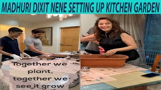 Madhuri Dixit Setting Kitchen Garden At Home