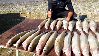 Pesca en Laguna La Vizcacha - San Cayetano - Bs As