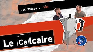 Comment se forme le calcaire ? ☕ | Épisode 14