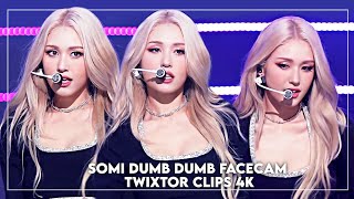 SOMI DUMB DUMB FACECAM TWIXTOR CLIPS 4K