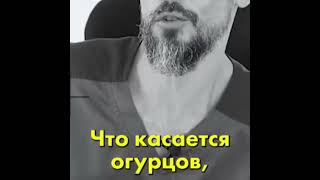 Как правильно мыть овощи. Советы специалиста. Көкөністерді қалай дұрыс жуу керек. Маманның кеңестері