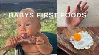 babys first foods | nutrient dense + animal based