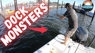 Epic Galveston Bay Dock MONSTER fishing | featuring MDLR and MCDtv Fishing