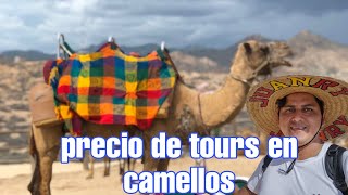 tours de razer y  camellos en cactus tour.