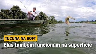 Pescaria de tucunaré na superfície com isca soft. Você já viu?