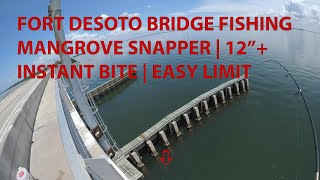 Fort Desoto Mangrove Snapper Fishing | Bridge Fishing South Florida