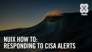 Webinar: Responding CISA Alerts with Nuix