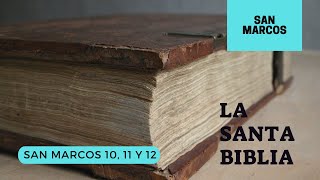 SAN MARCOS 10, 11, 12 (DÍA 257) LA SANTA BIBLIA || Audiolibro ||