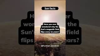 Sun's Magnetic Flip: A Cycle of Change #universefacts #shorts