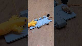 Lizard trap final test | Dc motor bug trap  #electronic #engineering #trap #funny