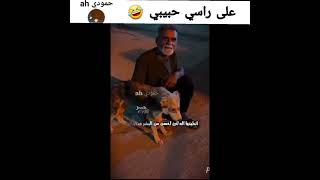 شيخ الكاوليه🤣🤣   على راسي حبيبي