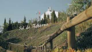 Sol de Taberno en Destino Andalucia - Almeria Turismo Rural