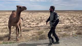 Różności z wyprawy na Pamir Road 2019