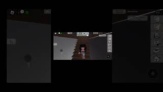 playing Roblox