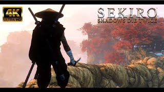 MY TOP 5 MODS FOR SEKIRO | LAND OF REEDS, MALENIA, LIGHTING, CAMERA & OUTFIT&