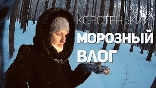 Короткий морозный ВЛОГ/ домик на дереве в лесу...