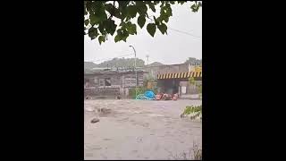 Lluvias en la previa a los festejos de Navidad