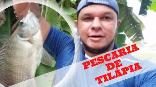 Pescaria de Tilápia