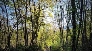 8/4/2021 Sommaia montemorello  Sommaia 20 km di  ossigeno