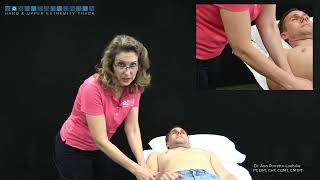 Shoulder: Reverse relocation test