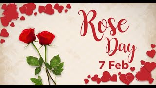 Rose Day Status _ 🌹🌹🌹 Day Status _ Best Romantic Heart Touching Song _ Valentine's Day Special👩_❤️_👨