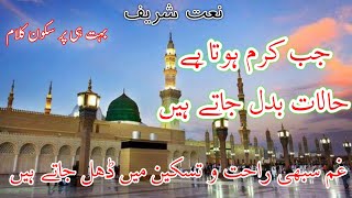 Gham Sabhi Rahat O Taskeen | Hafiz Tasadduq Rasool Attari | Lyrics Naats