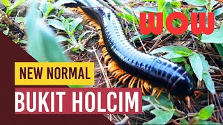 NEW NORMAL AT BUKIT HOLCIM  #bukitholcim #holcimeducationalforest #hef