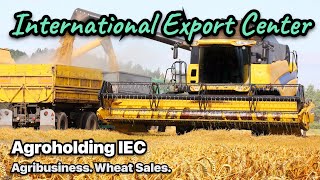 Agribusiness. Growing wheat and profit from its sale. Agroholding IEC. Agricultural industry.