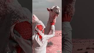 Bakra Eid Special Video | Eid Ul Adha Status Video 2024 | Eid Ul Adha Status 2024