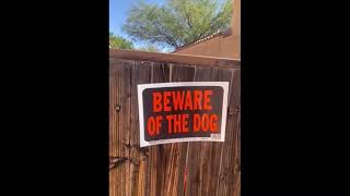 Beware of The Dog