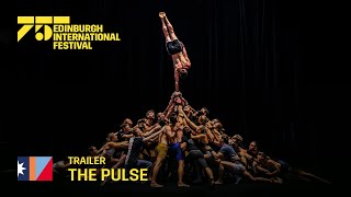 The Pulse | 2022 International Festival