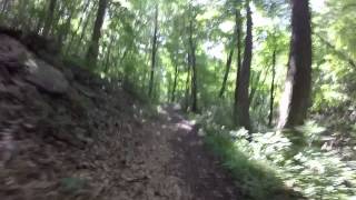 Downhill Raw